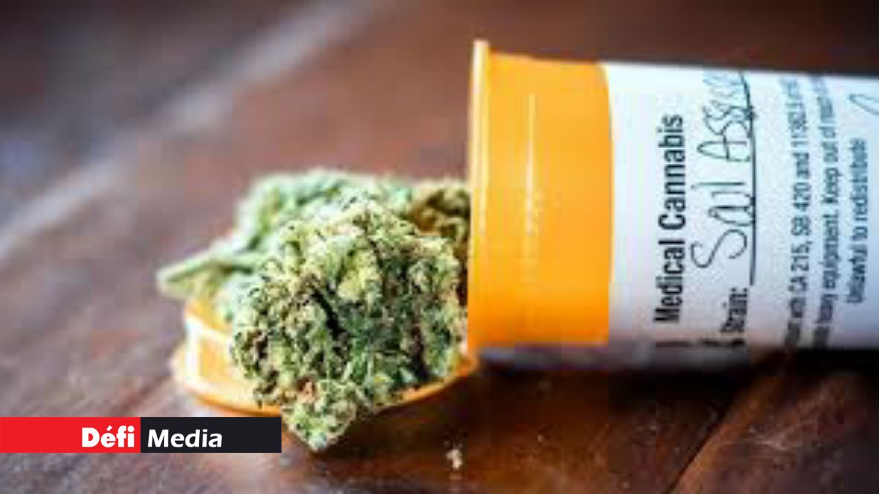 cannabis